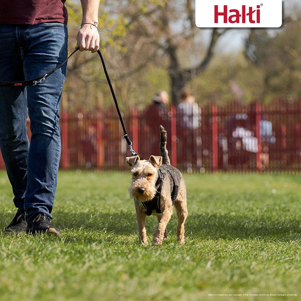 HALTI No Pull Harness Size Medium, Professional | ObaPet