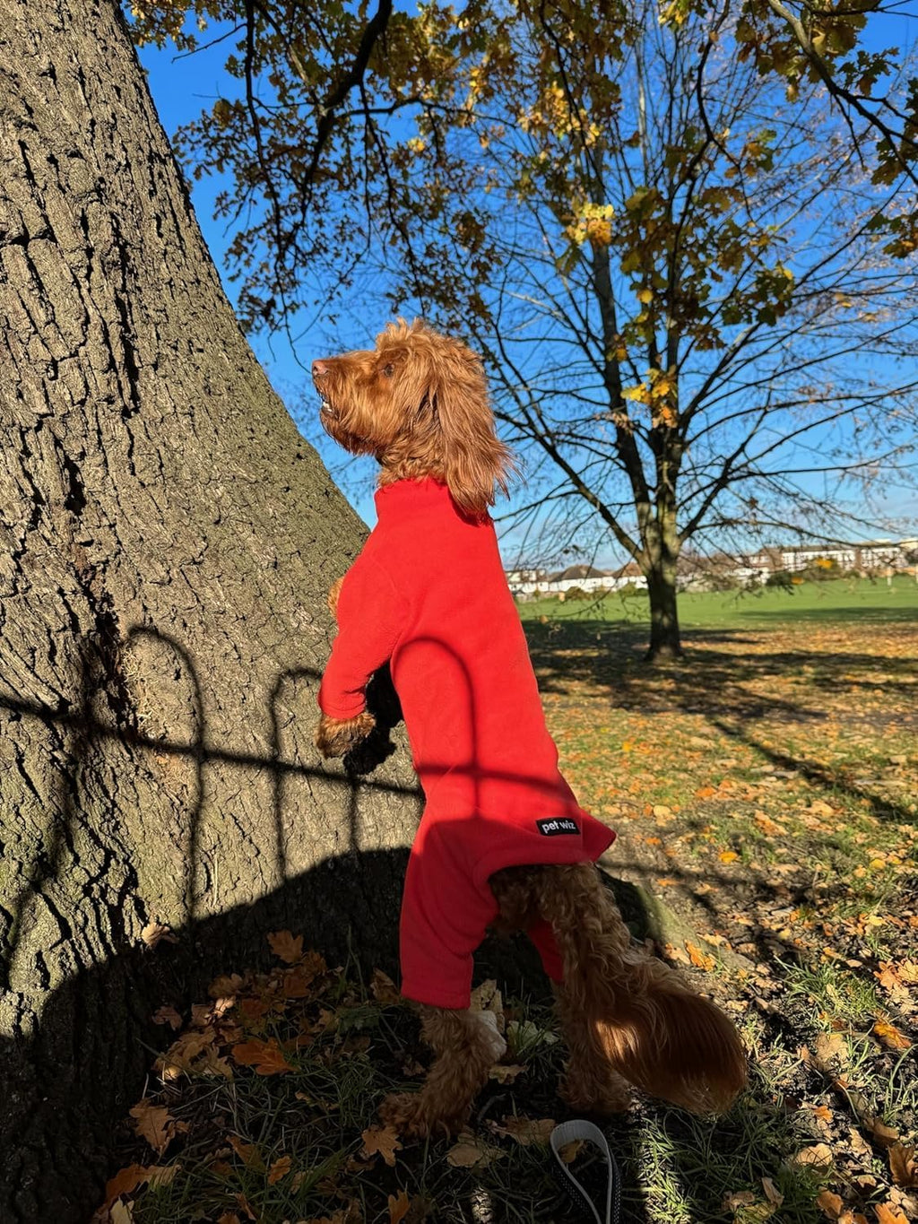 Warm Four-Legged Dog Fleece – Super Soft, Weather-Resistant (Coral, Medium)