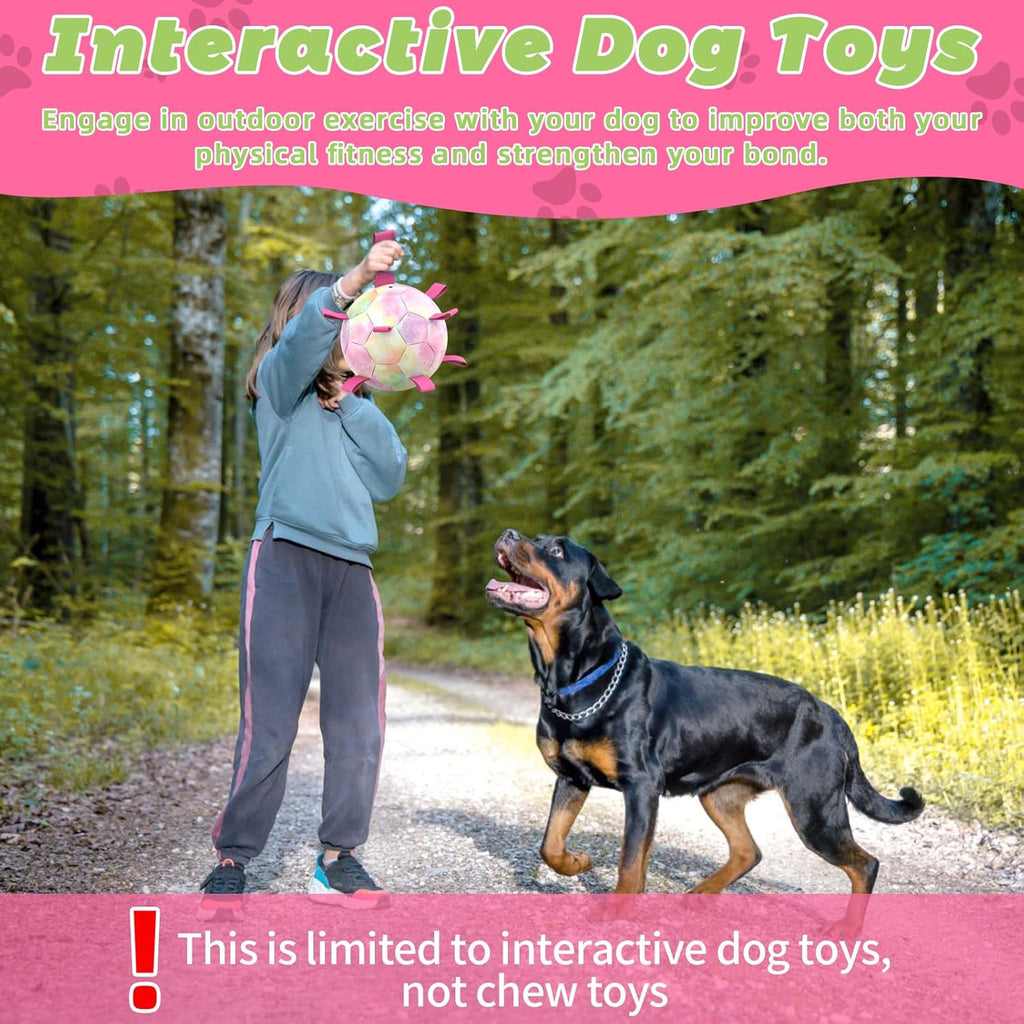HETOO Interactive Dog Football Toys with Grab Tabs, Durable Dog Water Balls for Small Medium Breed, Indoor & Outdoor
