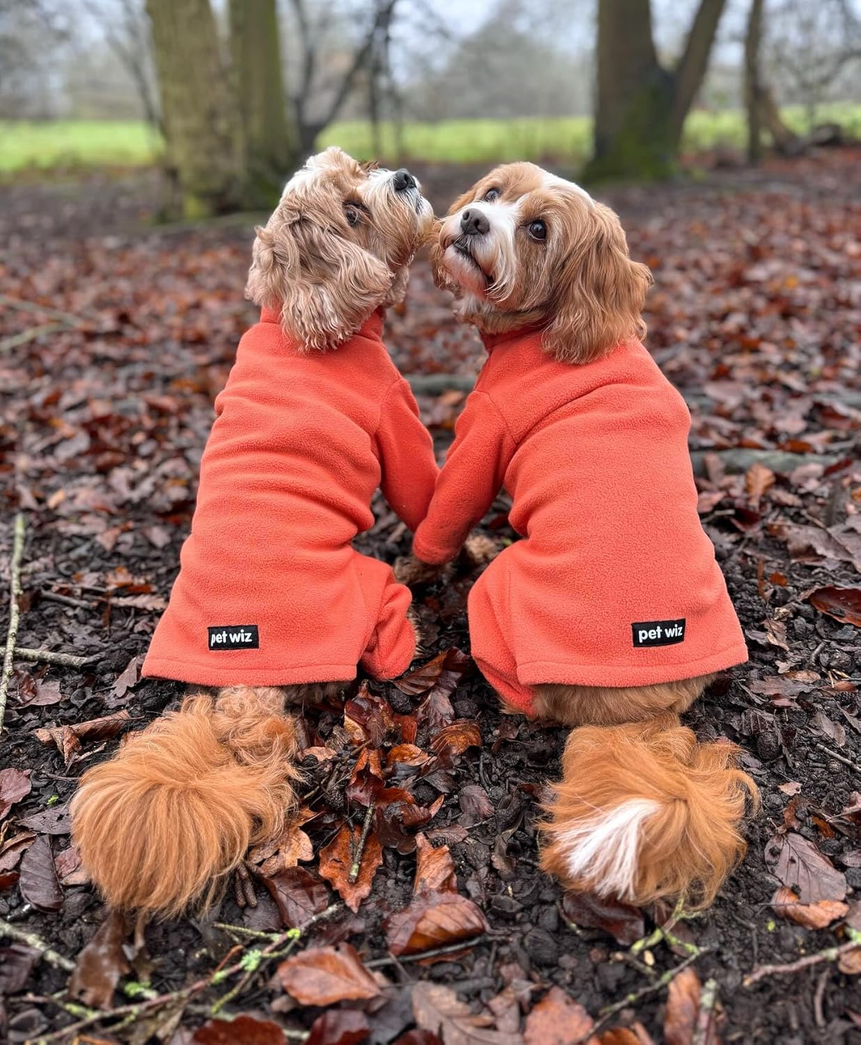 Warm Four-Legged Dog Fleece – Super Soft, Weather-Resistant (Coral, Medium)