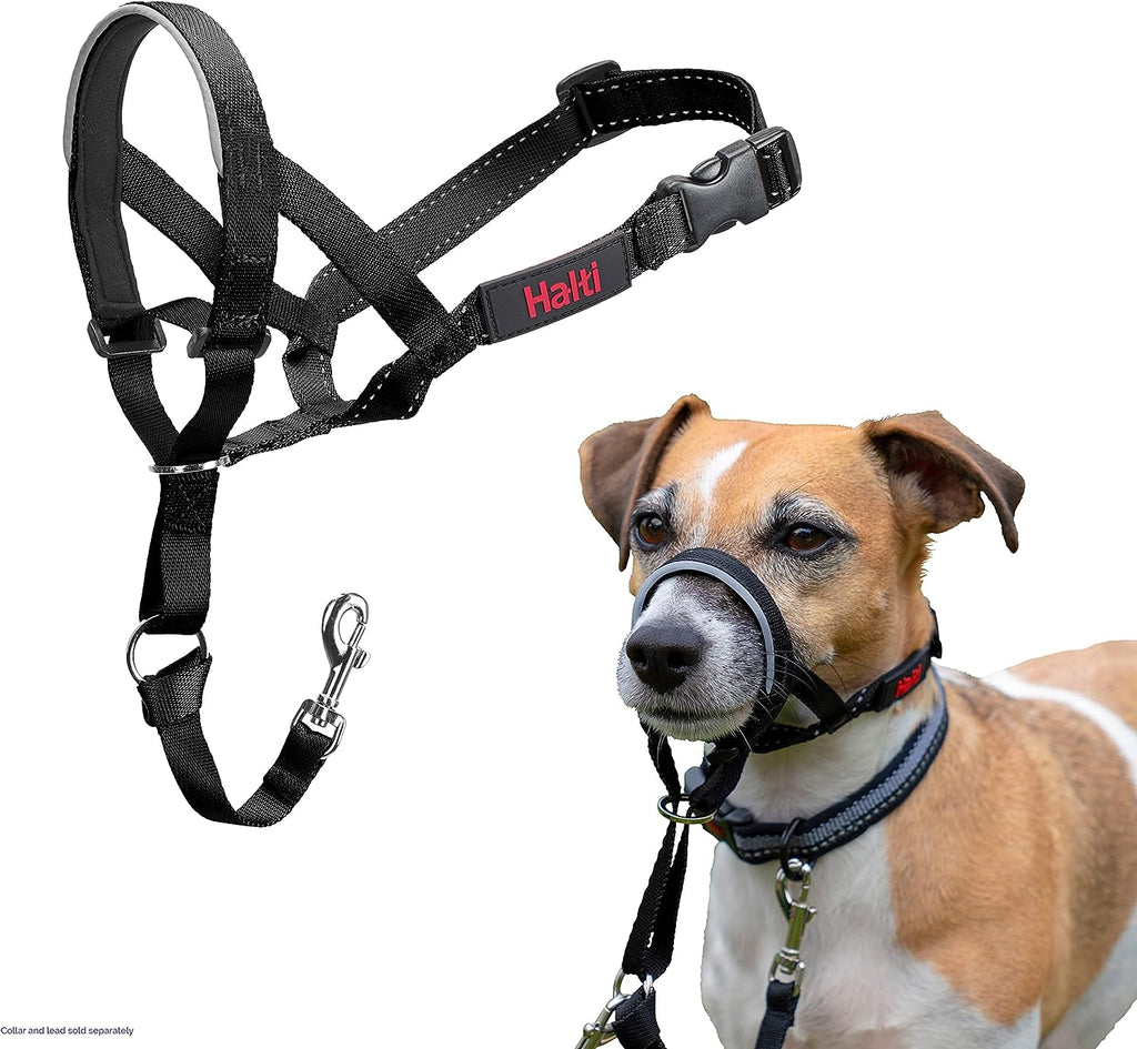 HALTI Headcollar, UK Bestselling Harness to Stop | ObaPet