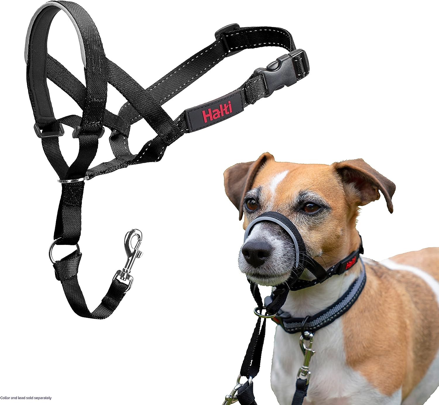 HALTI Headcollar, UK Bestselling Harness to Stop | ObaPet