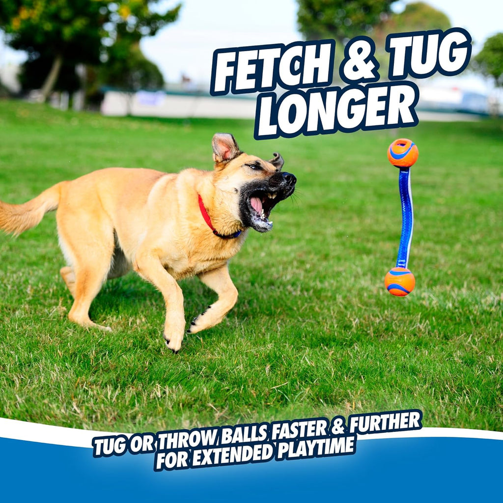 Chuckit! Ultra Tug Dog Toy With Rubber Ball Tug Of War Interactive Fetch Toy for Dogs, Medium