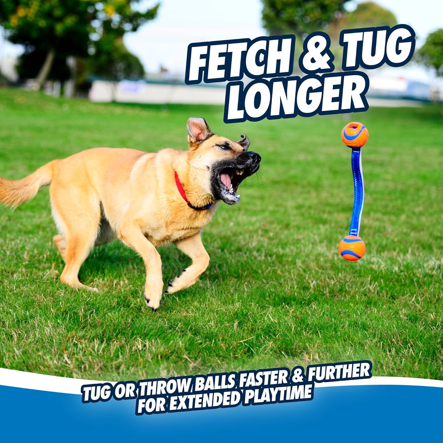 Chuckit! Ultra Tug Dog Toy With Rubber Ball Tug Of War Interactive Fetch Toy for Dogs, Medium