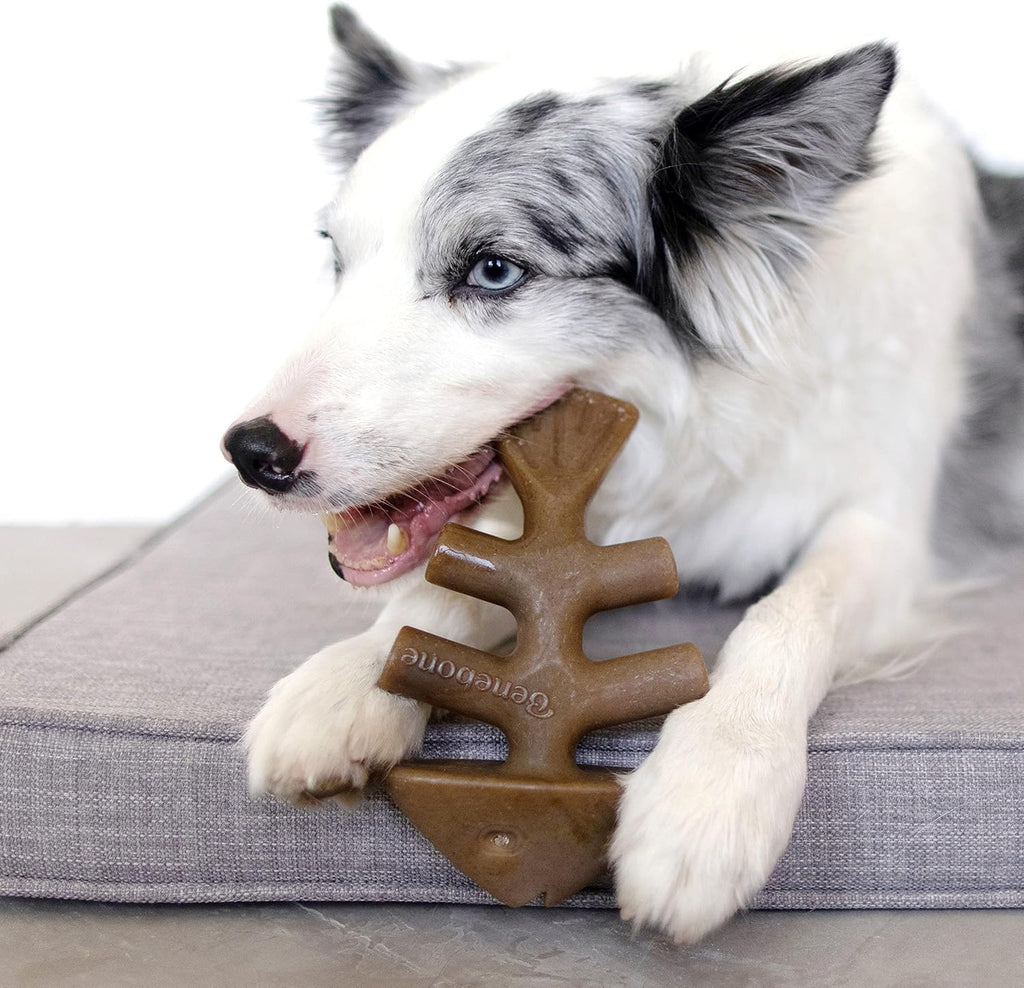 Benebone Durable Dog Chew Toy Box for Aggressive Chewers with Wishbone, Fishbone, Stick & Zaggler, Medium