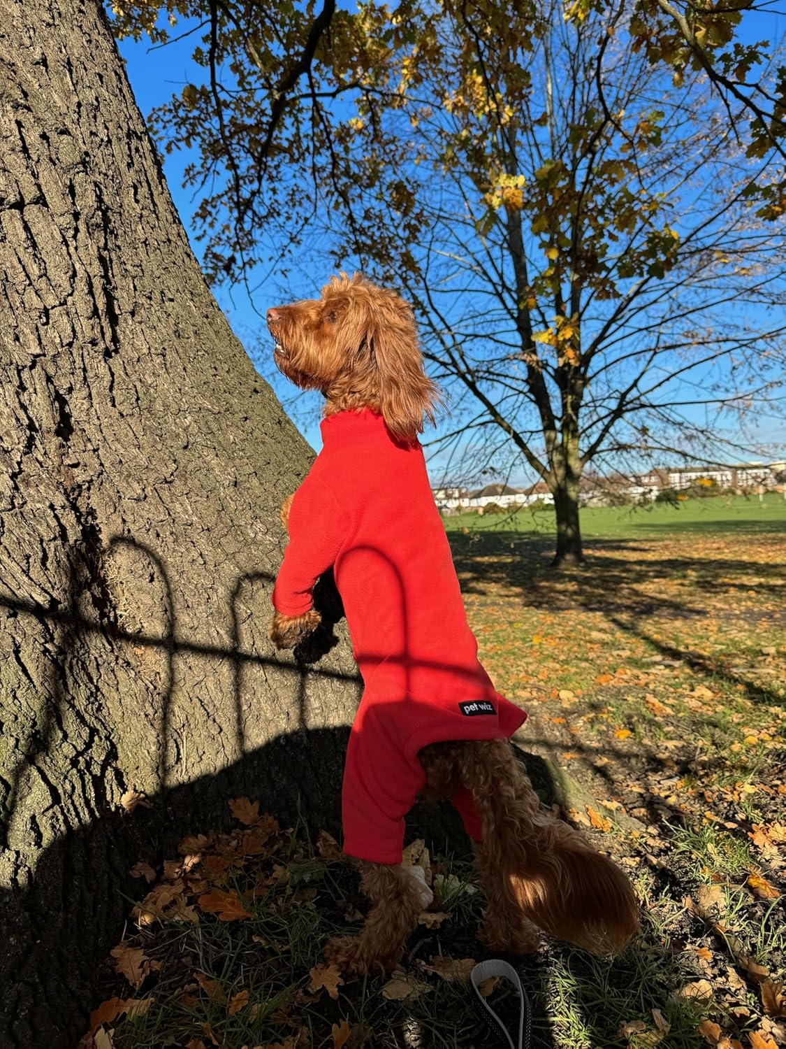 Warm Four-Legged Dog Fleece – Super Soft, Weather-Resistant (Coral, Medium)