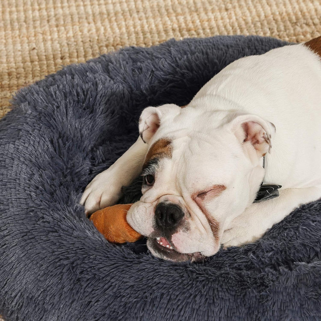 Feandrea Dog Bed, Donut Cat Bed, Fluffy Calming | ObaPet