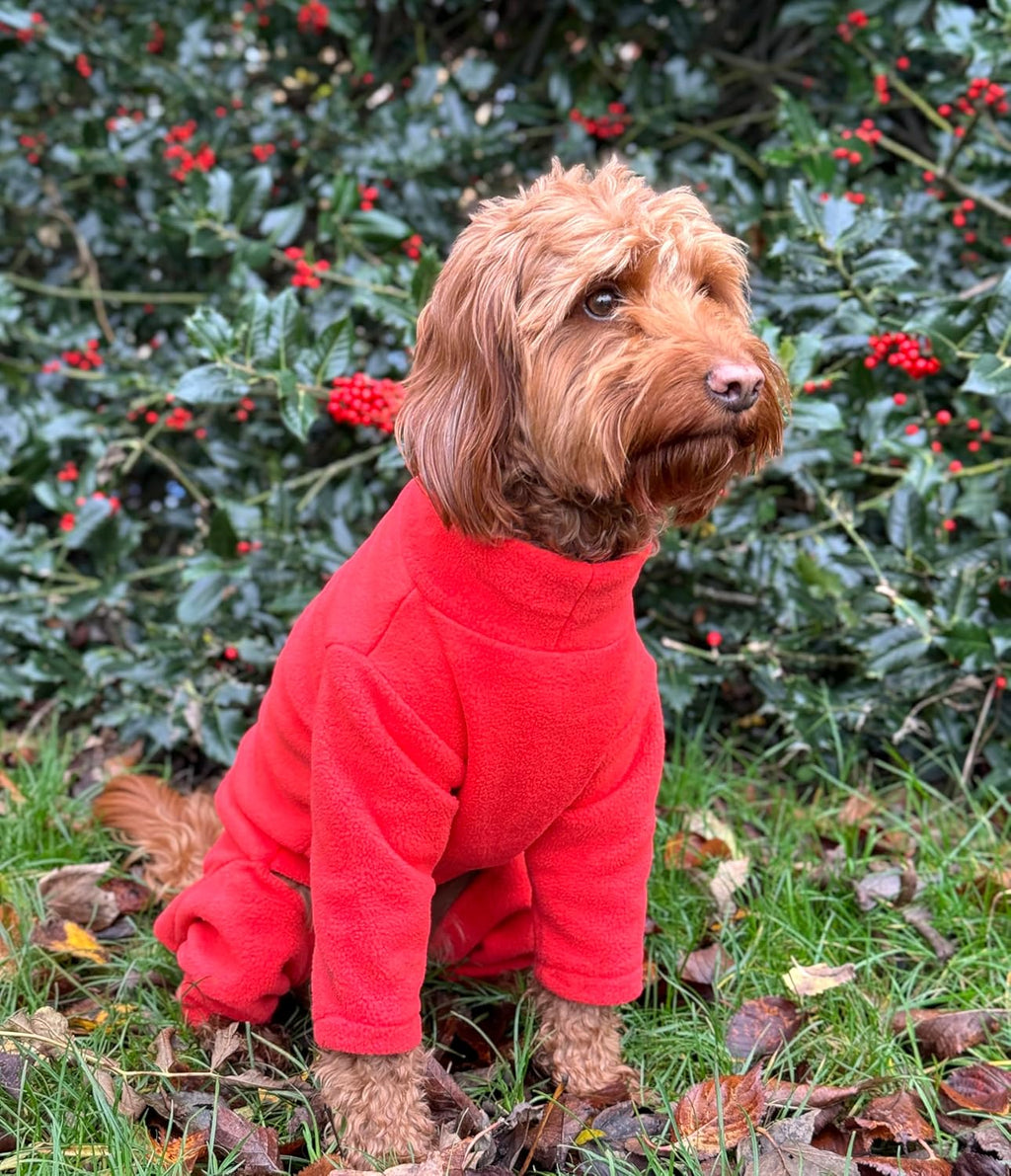 Warm Four-Legged Dog Fleece – Super Soft, Weather-Resistant (Coral, Medium)