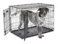 MidWest Homes Pets Newly Enhanced Door iCrate Long Dog Crate, Includes Leak-Proof Pan, Floor Protecting Feet, Divider Panel & New Patented Features
