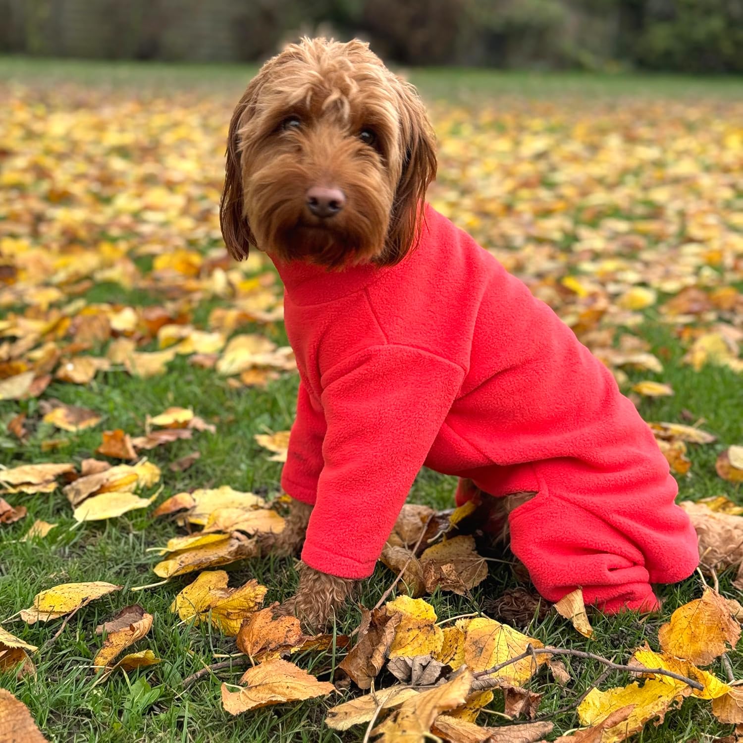 Warm Four-Legged Dog Fleece – Super Soft, Weather-Resistant (Coral, Medium)