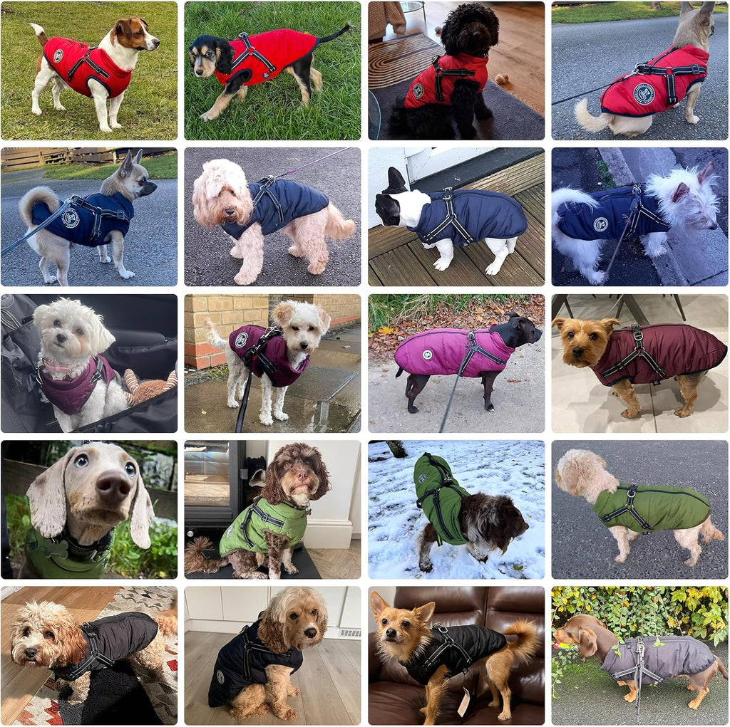 Poseca Dog Clothes for Small Dogs Dog Coat Waterproof Winter Jacket Warm Vest Dog Clothes Dog Coat Warm Winter Dog Jacket with Dog Harness for Small Medium Large Dogs
