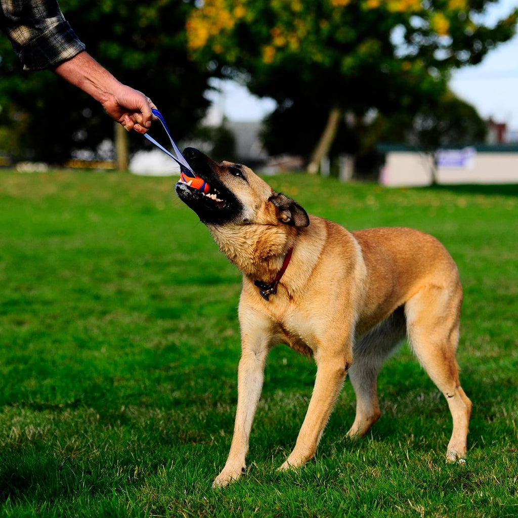 Chuckit! Ultra Tug Dog Toy With Rubber Ball Tug Of War Interactive Fetch Toy for Dogs, Medium