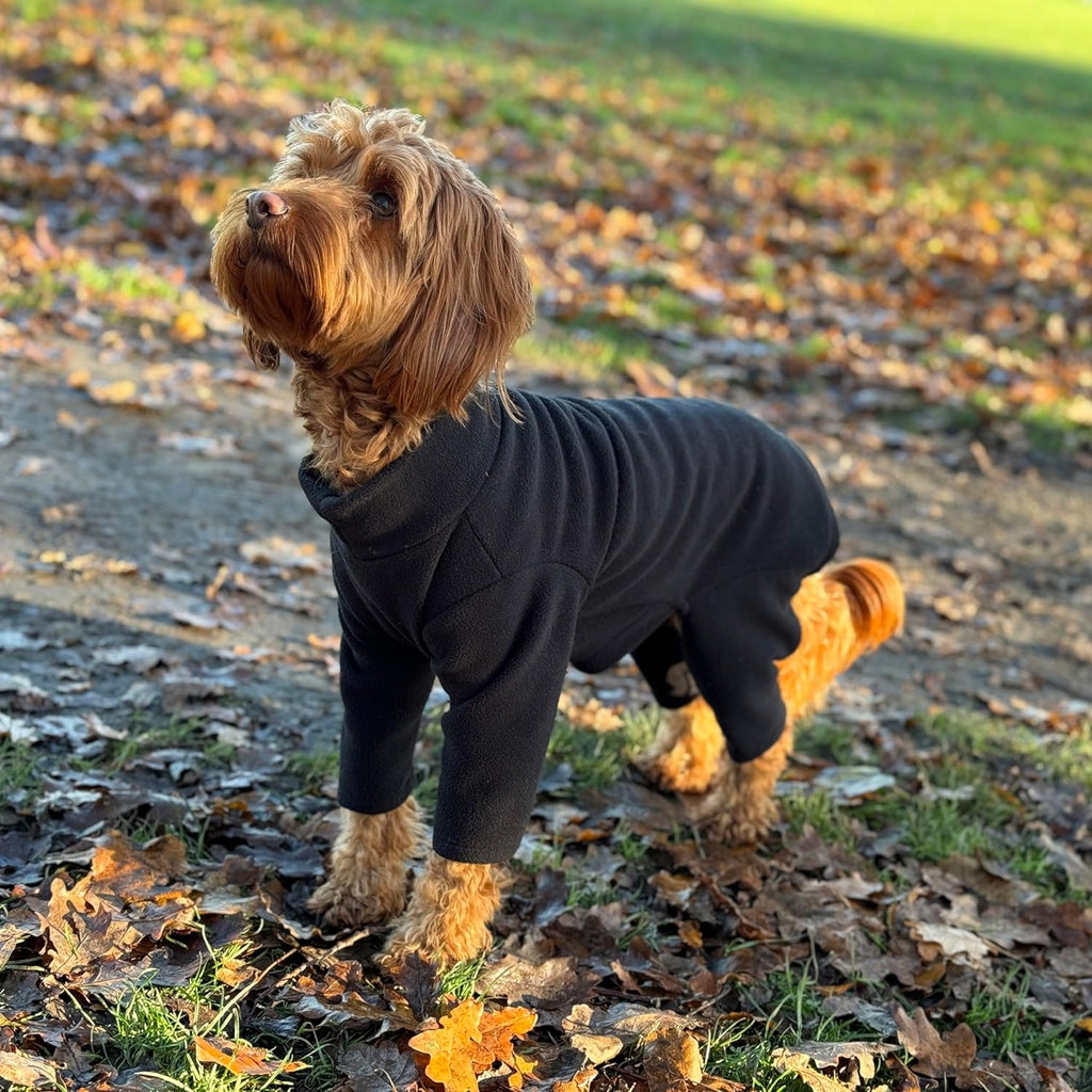 Warm Four-Legged Dog Fleece – Super Soft, Weather-Resistant (Coral, Medium)