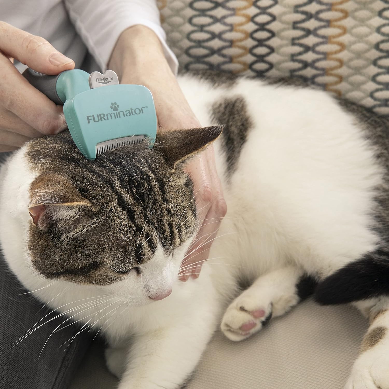 FURminator Undercoat deShedding Tool for Small | ObaPet