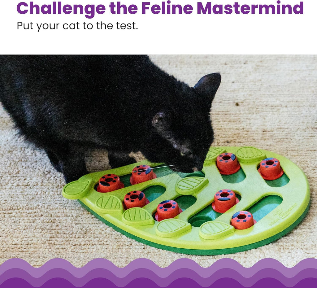Nina Ottosson by Catstages Buggin' Out Puzzle & | ObaPet