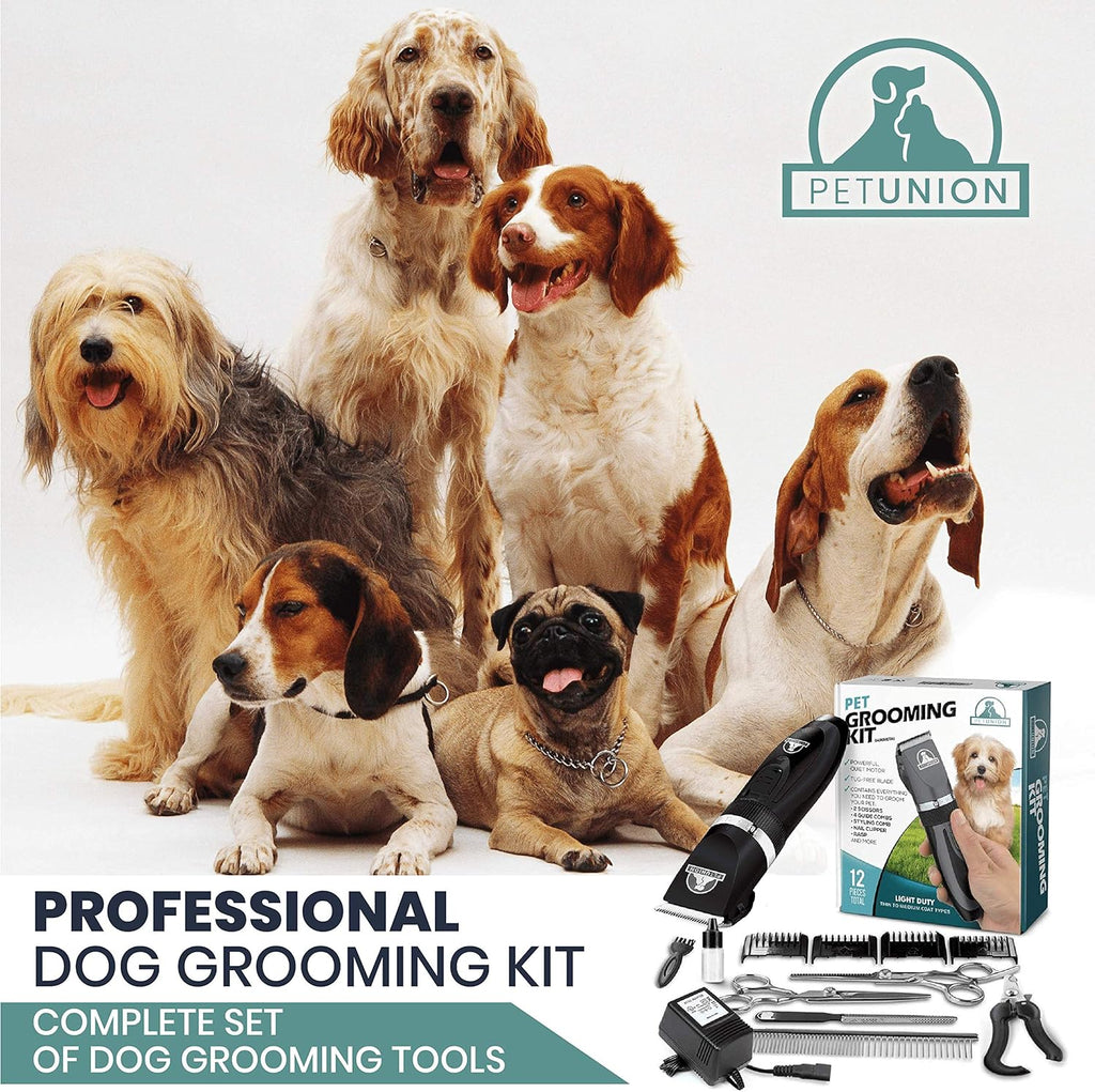 Pet UnionProfessional Dog Grooming Kit | ObaPet