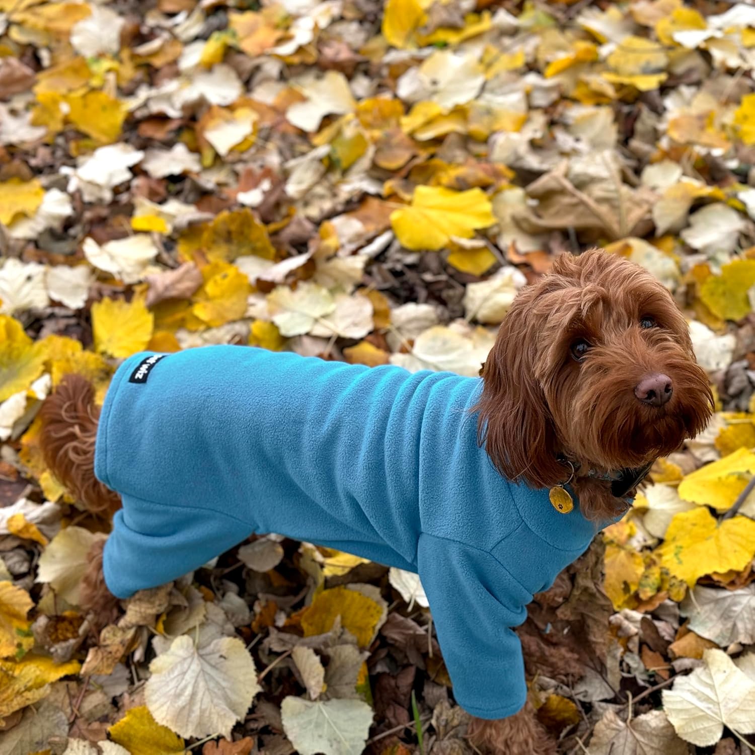 Warm Four-Legged Dog Fleece – Super Soft, Weather-Resistant (Coral, Medium)
